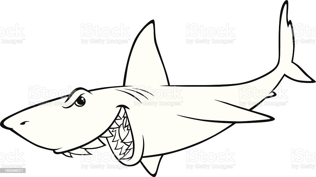 Detail Gambar Ikan Hiu Hitam Putih Nomer 46