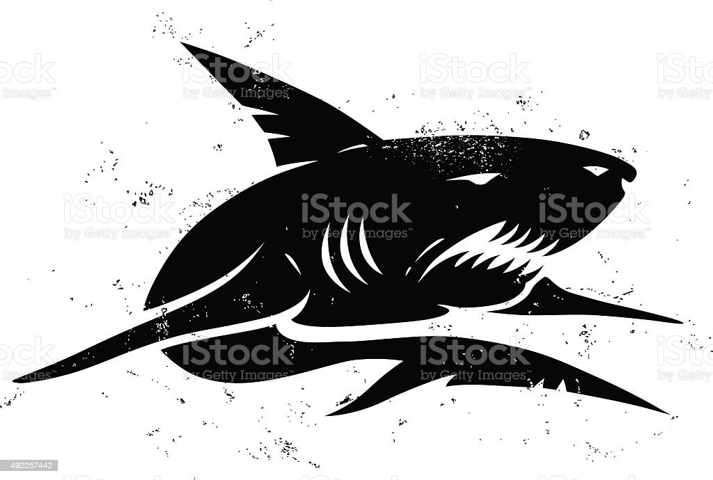 Detail Gambar Ikan Hiu Hitam Putih Nomer 57