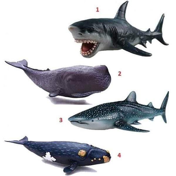 Detail Gambar Ikan Hiu Megalodon Nomer 14