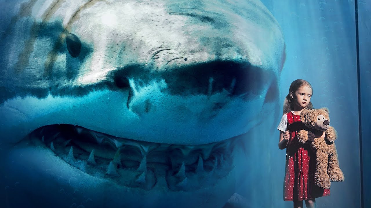 Detail Gambar Ikan Hiu Megalodon Nomer 3