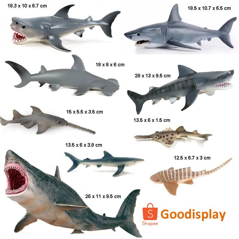 Detail Gambar Ikan Hiu Megalodon Nomer 32