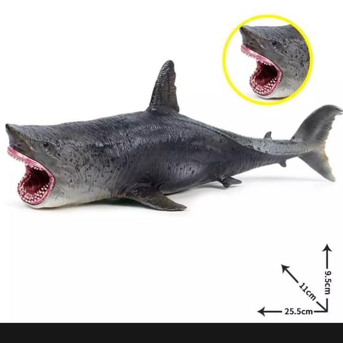 Detail Gambar Ikan Hiu Megalodon Nomer 33