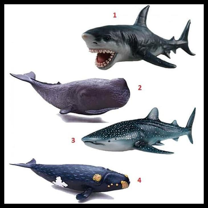 Detail Gambar Ikan Hiu Megalodon Nomer 38