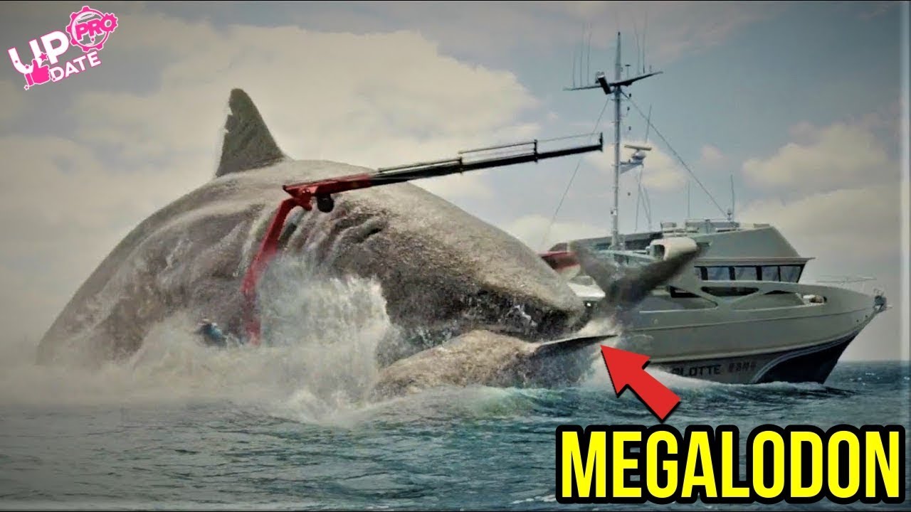 Detail Gambar Ikan Hiu Megalodon Nomer 54