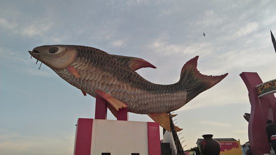 Detail Gambar Ikan Jelawat Nomer 26