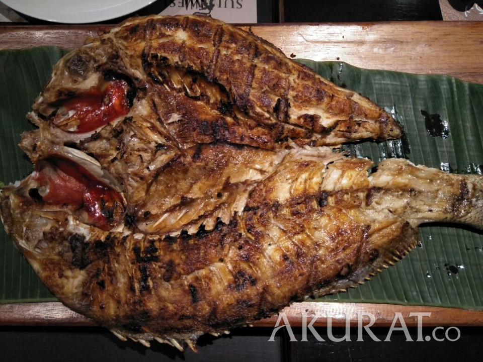 Detail Gambar Ikan Kaneke Nomer 10