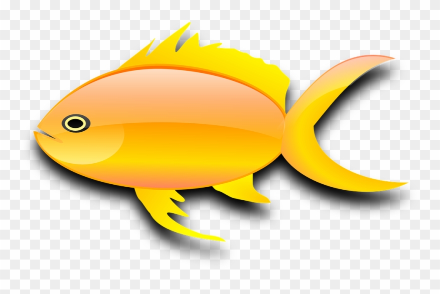 Detail Gambar Ikan Kartun Png Nomer 5