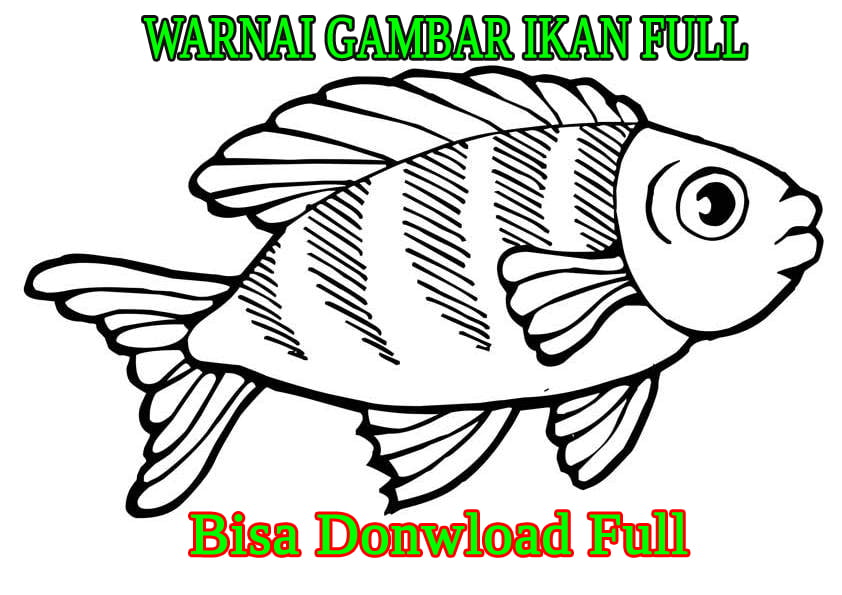 Detail Gambar Ikan Kartun Untuk Diwarnai Nomer 28