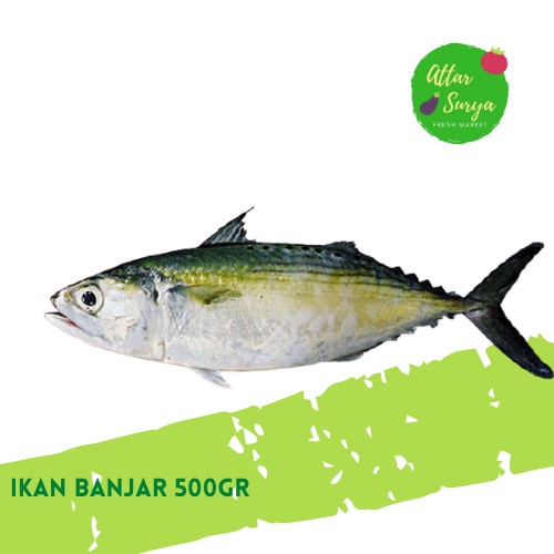 Detail Gambar Ikan Kembung Banjar Nomer 12