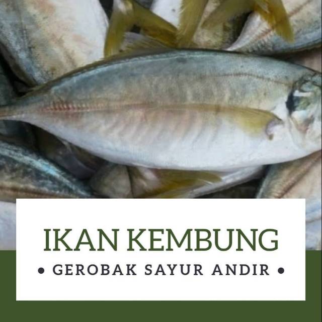 Detail Gambar Ikan Kembung Banjar Nomer 50