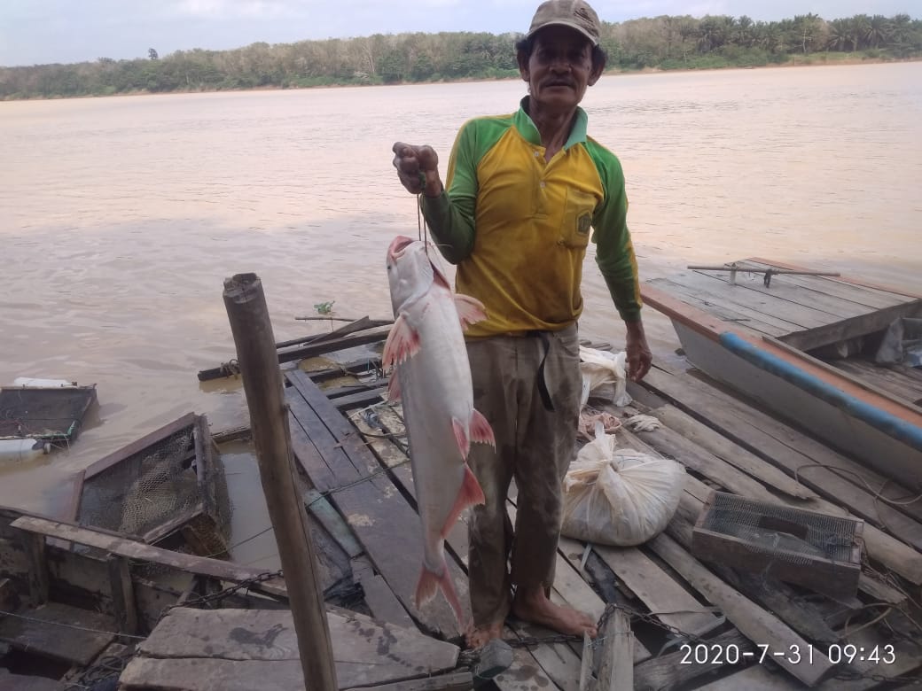 Detail Gambar Ikan Kena Pancing Nomer 40