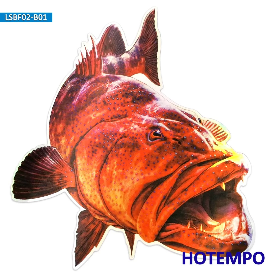 Detail Gambar Ikan Kerapu Merah Nomer 17