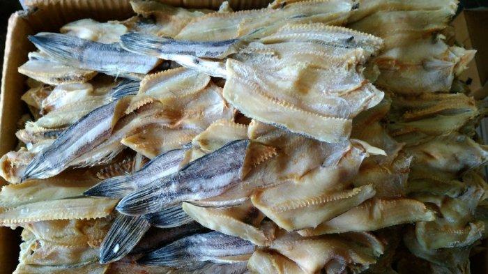 Detail Gambar Ikan Kering Nomer 26