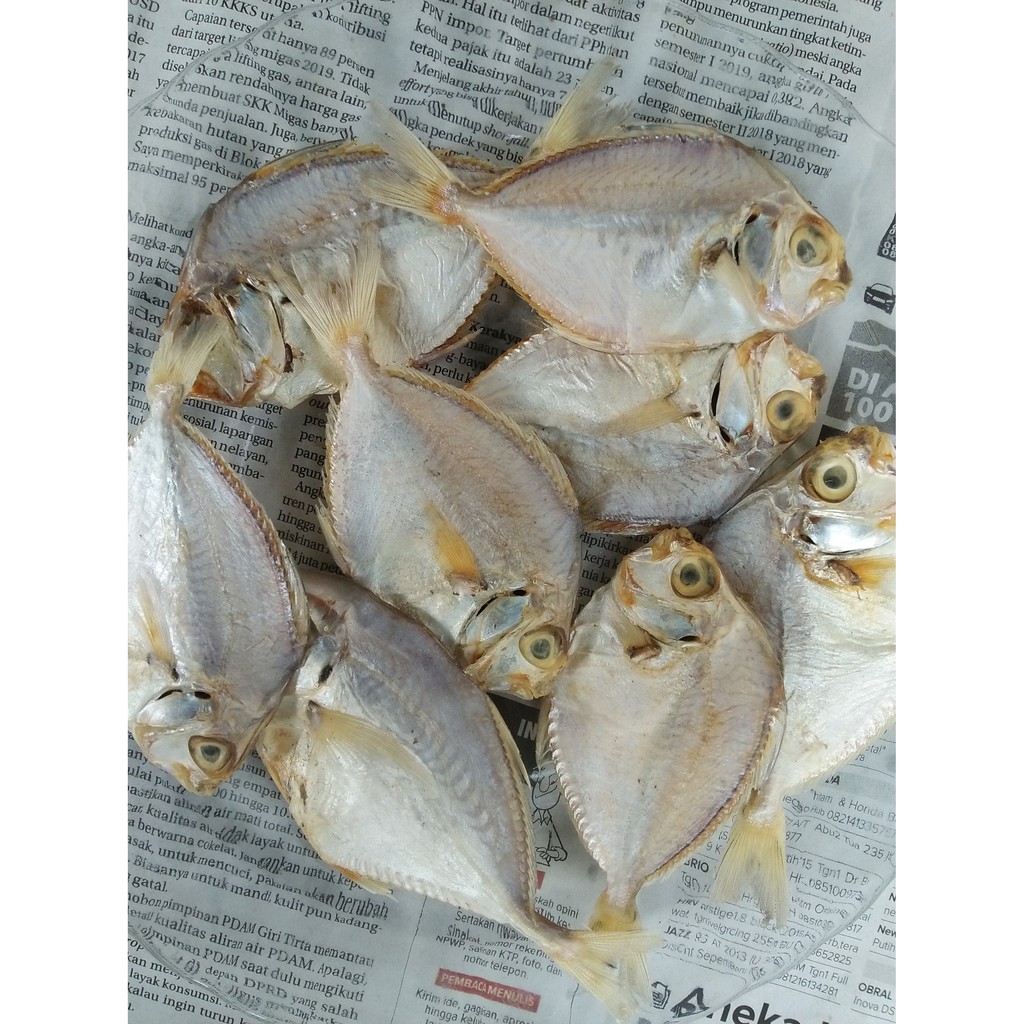 Detail Gambar Ikan Kering Nomer 34