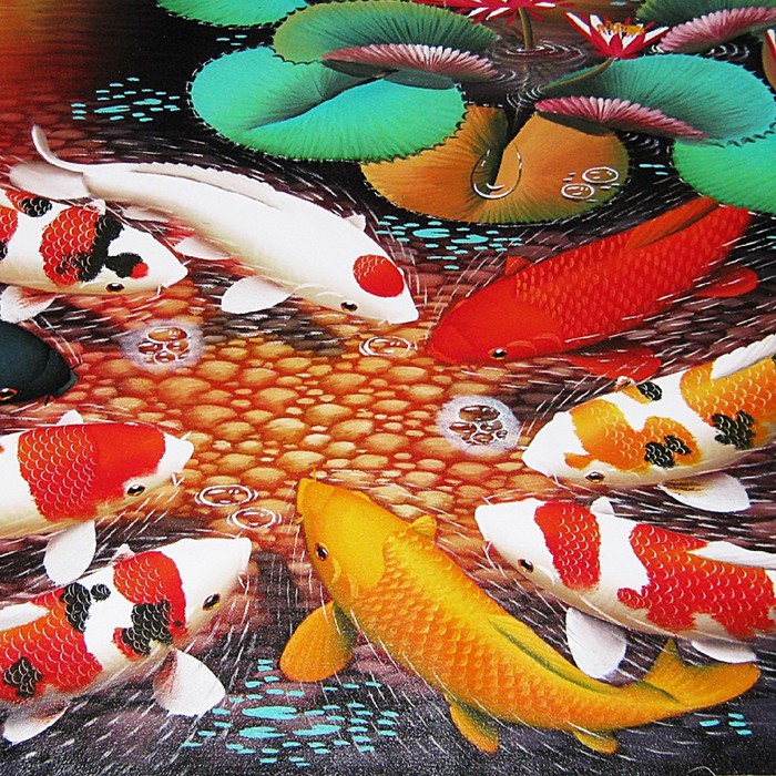 Detail Gambar Ikan Koi Nomer 32