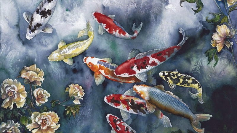 Detail Gambar Ikan Koi Bergerak Nomer 44