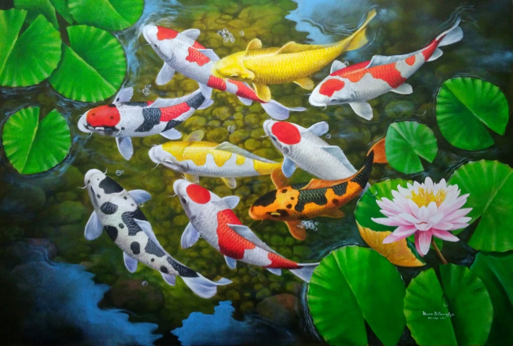 Detail Gambar Ikan Koi Dan Bunga Teratai Nomer 12