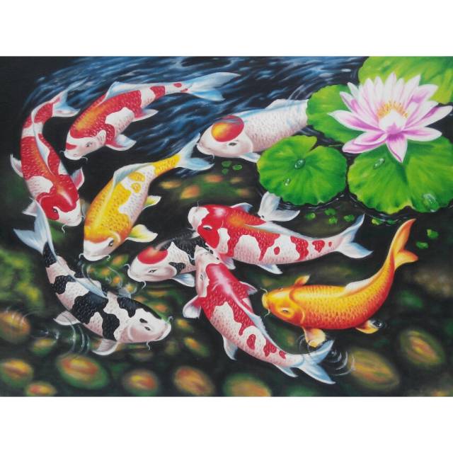 Detail Gambar Ikan Koi Dan Bunga Teratai Nomer 28