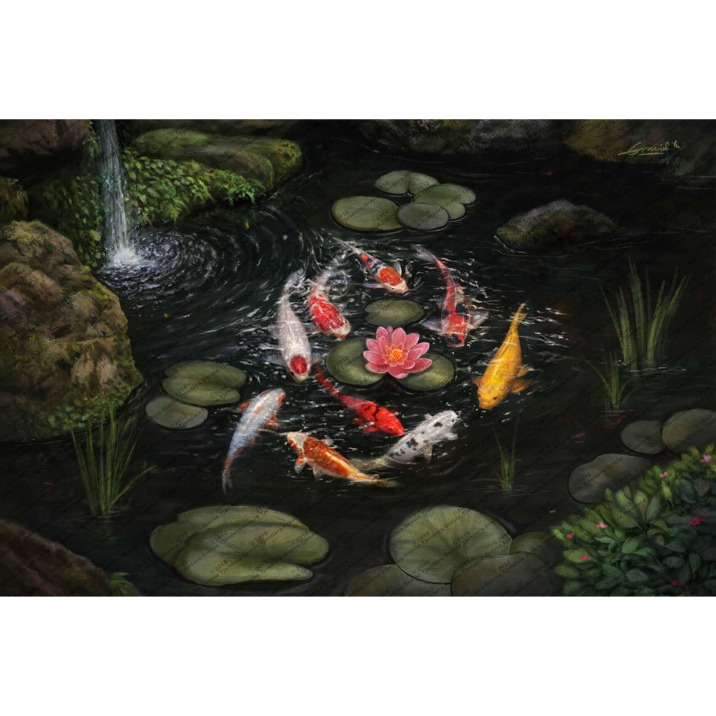 Detail Gambar Ikan Koi Dan Bunga Teratai Nomer 4