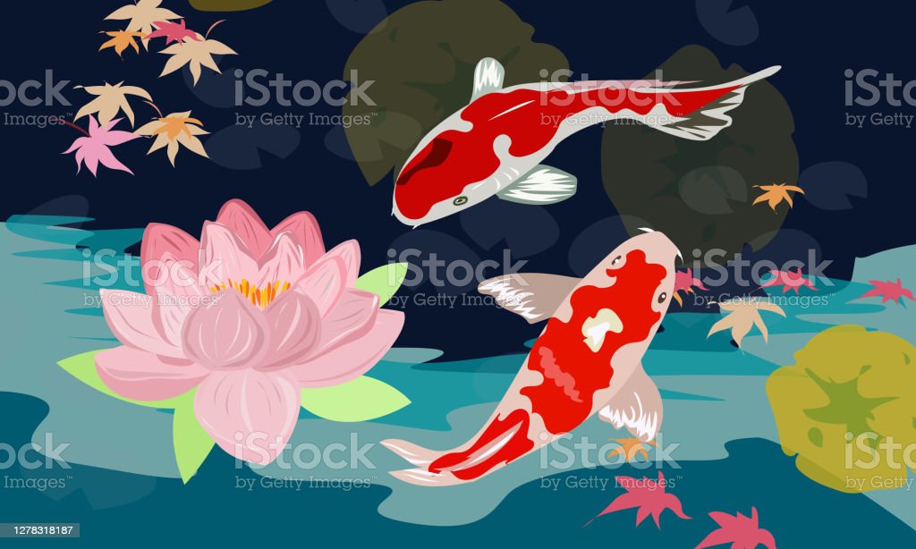 Detail Gambar Ikan Koi Dan Bunga Teratai Nomer 34