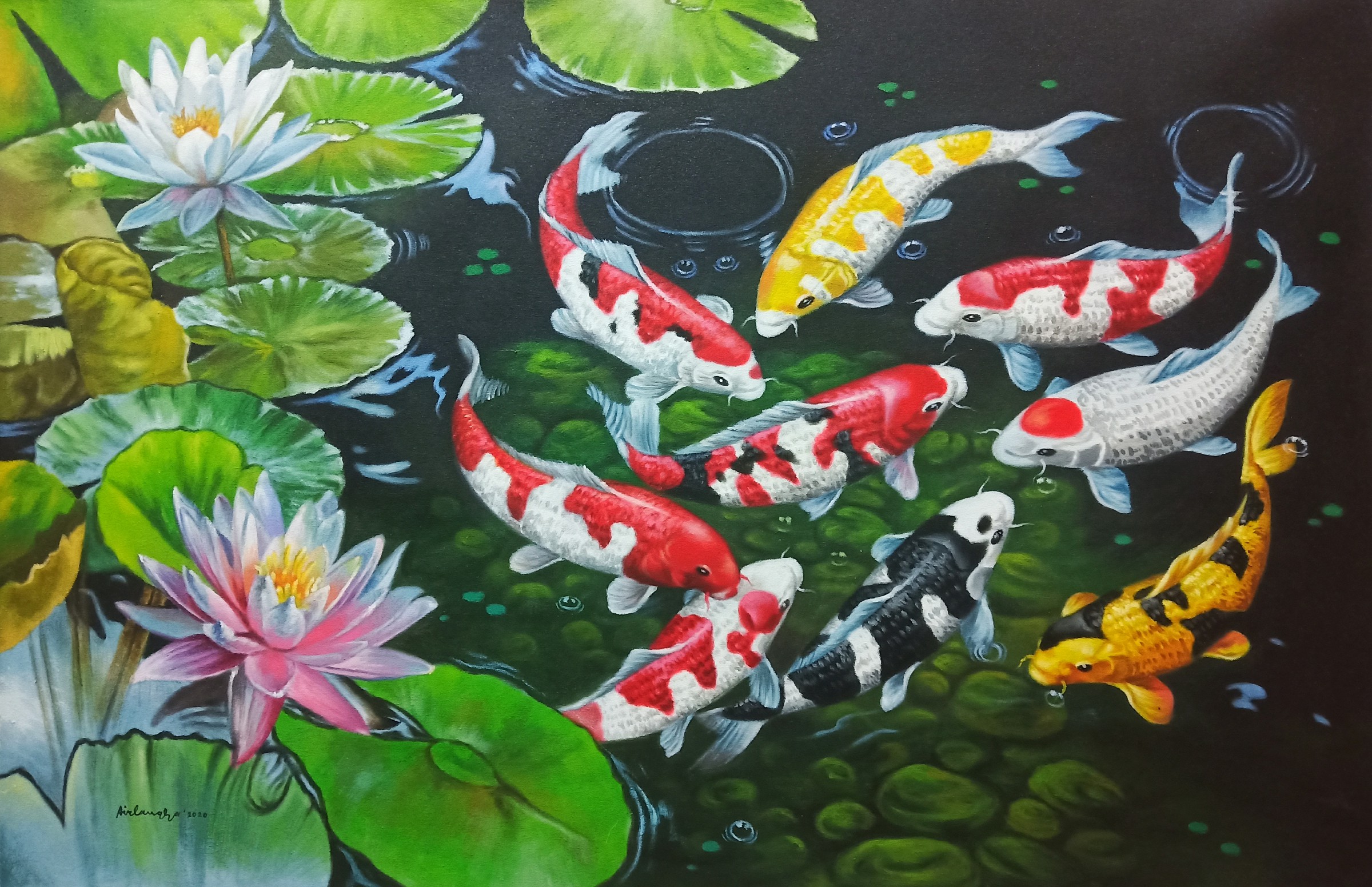 Detail Gambar Ikan Koi Dan Bunga Teratai Nomer 6