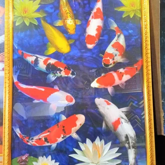 Detail Gambar Ikan Koi Dan Bunga Teratai Nomer 50