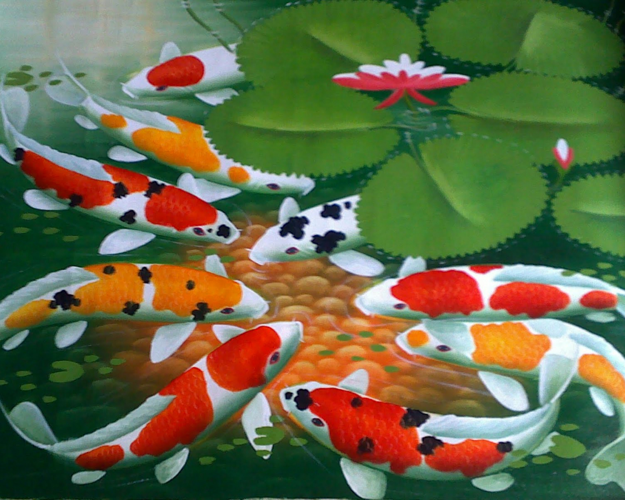 Detail Gambar Ikan Koi Dari Samping Nomer 15