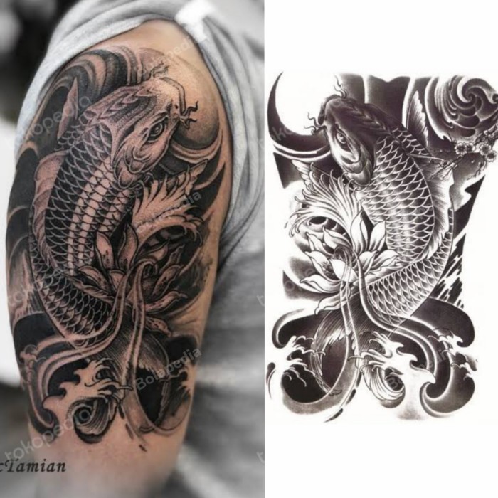 Detail Gambar Ikan Koi Tato Nomer 18