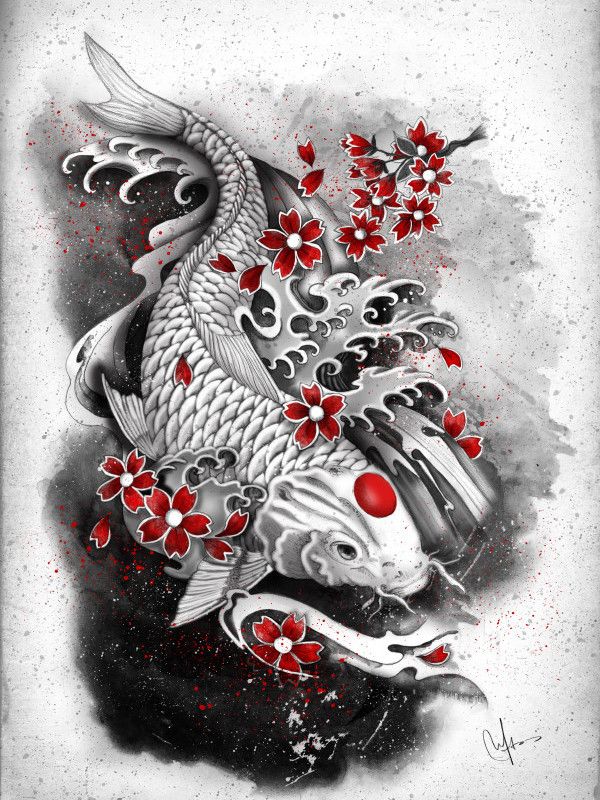 Detail Gambar Ikan Koi Tato Nomer 9