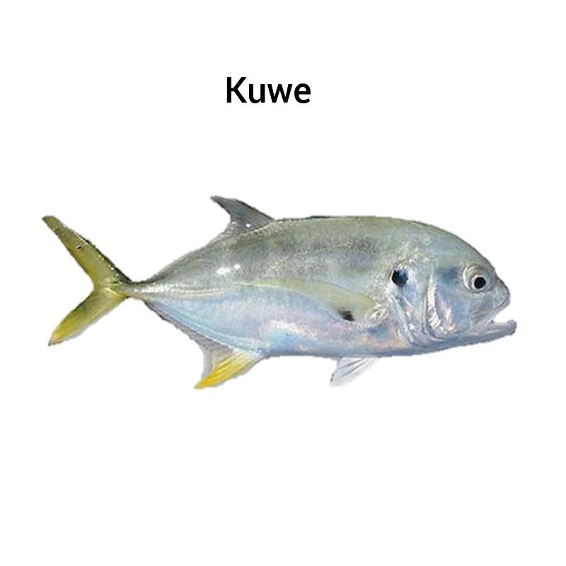 Gambar Ikan Kuwe - KibrisPDR