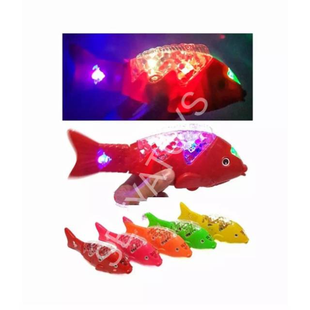 Detail Gambar Ikan Lampu Nomer 21