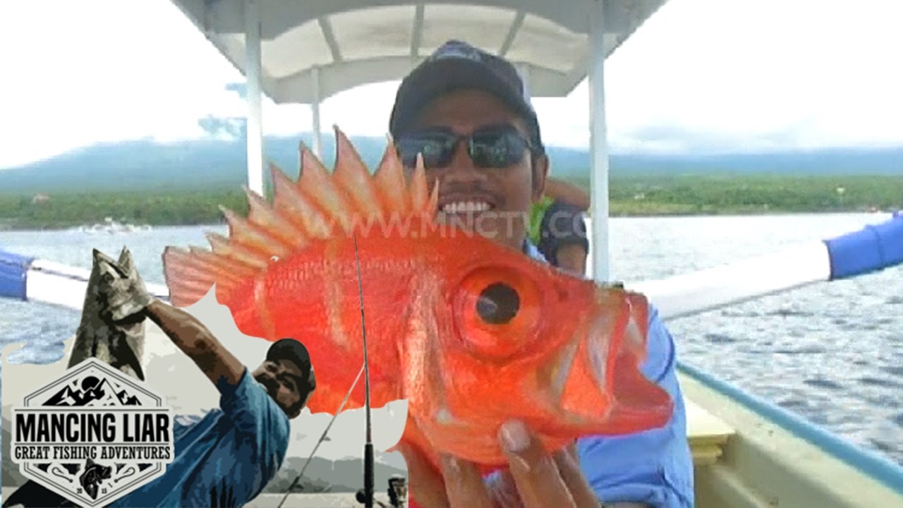 Detail Gambar Ikan Laut Dalam Nomer 44