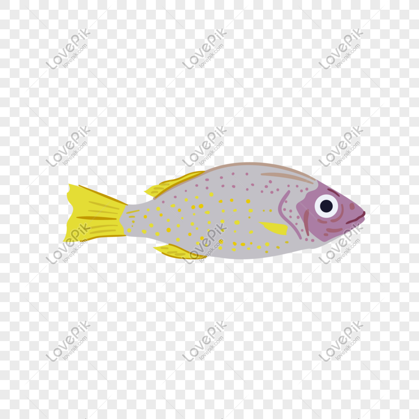 Detail Gambar Ikan Laut Png Nomer 21