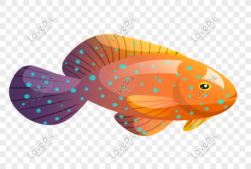 Detail Gambar Ikan Laut Png Nomer 41