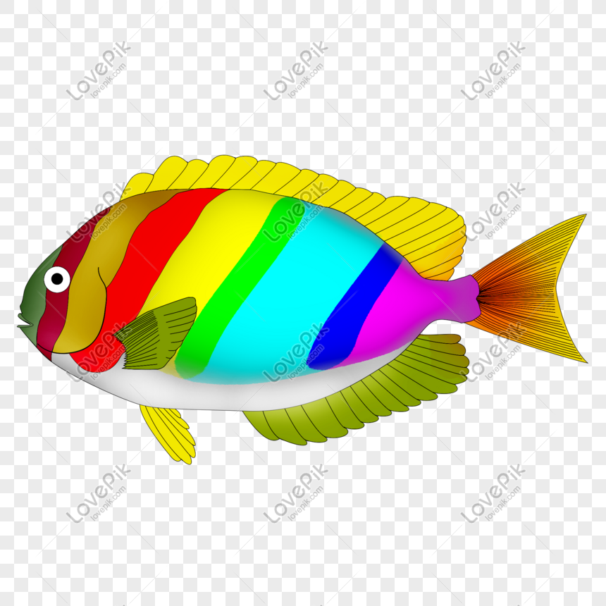 Detail Gambar Ikan Laut Png Nomer 10