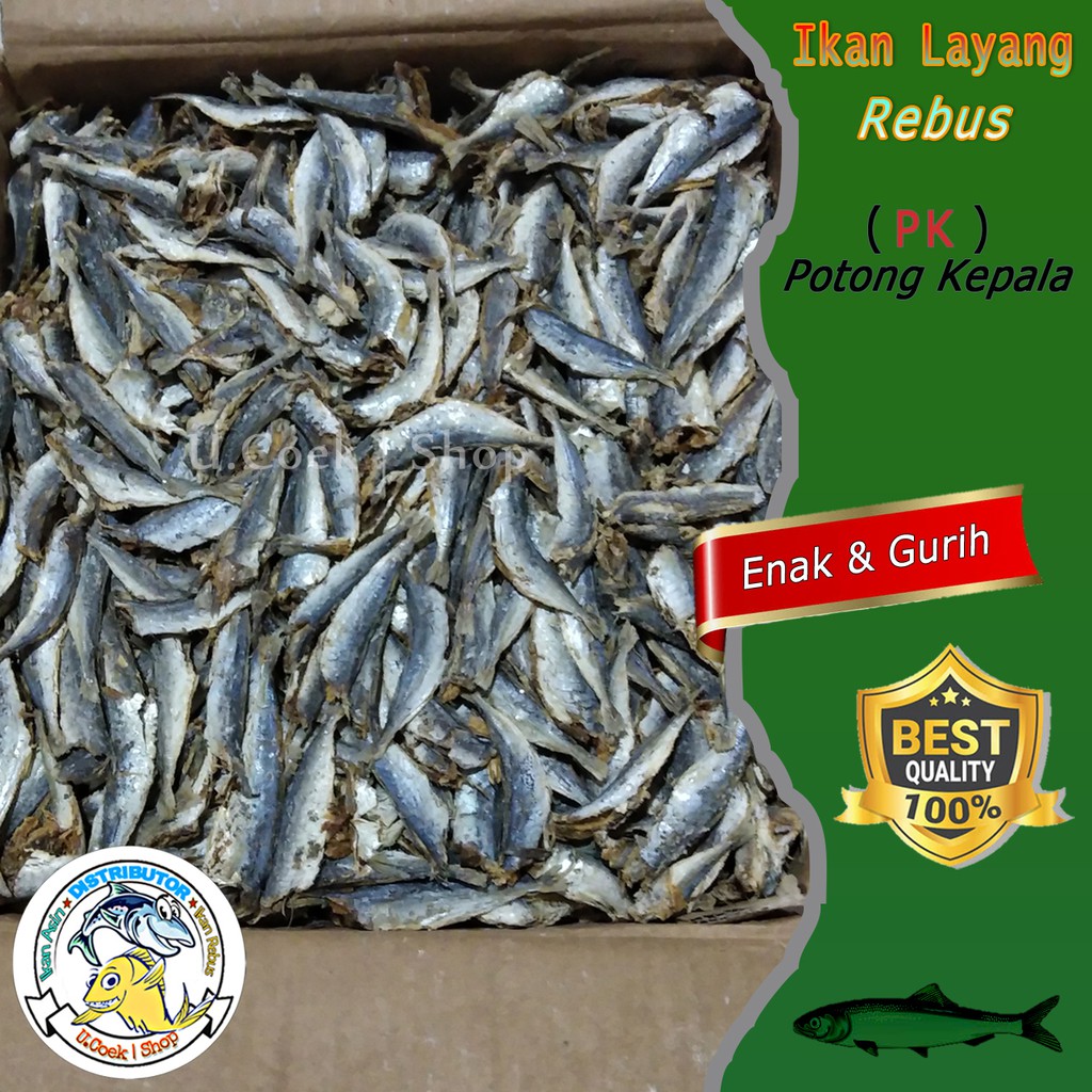 Detail Gambar Ikan Layang Layang Nomer 55