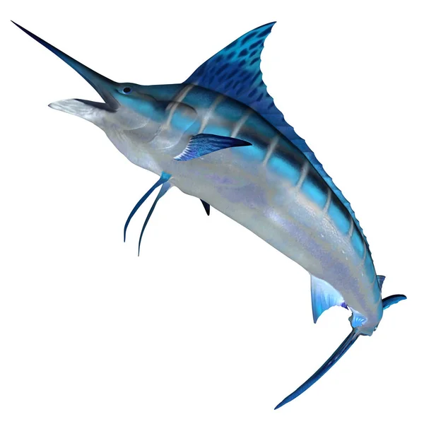 Detail Gambar Ikan Layaran Nomer 51