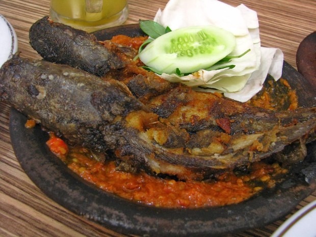 Detail Gambar Ikan Lele Goreng Nomer 39