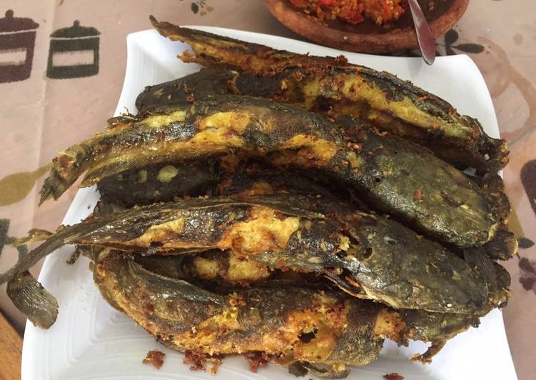 Detail Gambar Ikan Lele Goreng Nomer 44