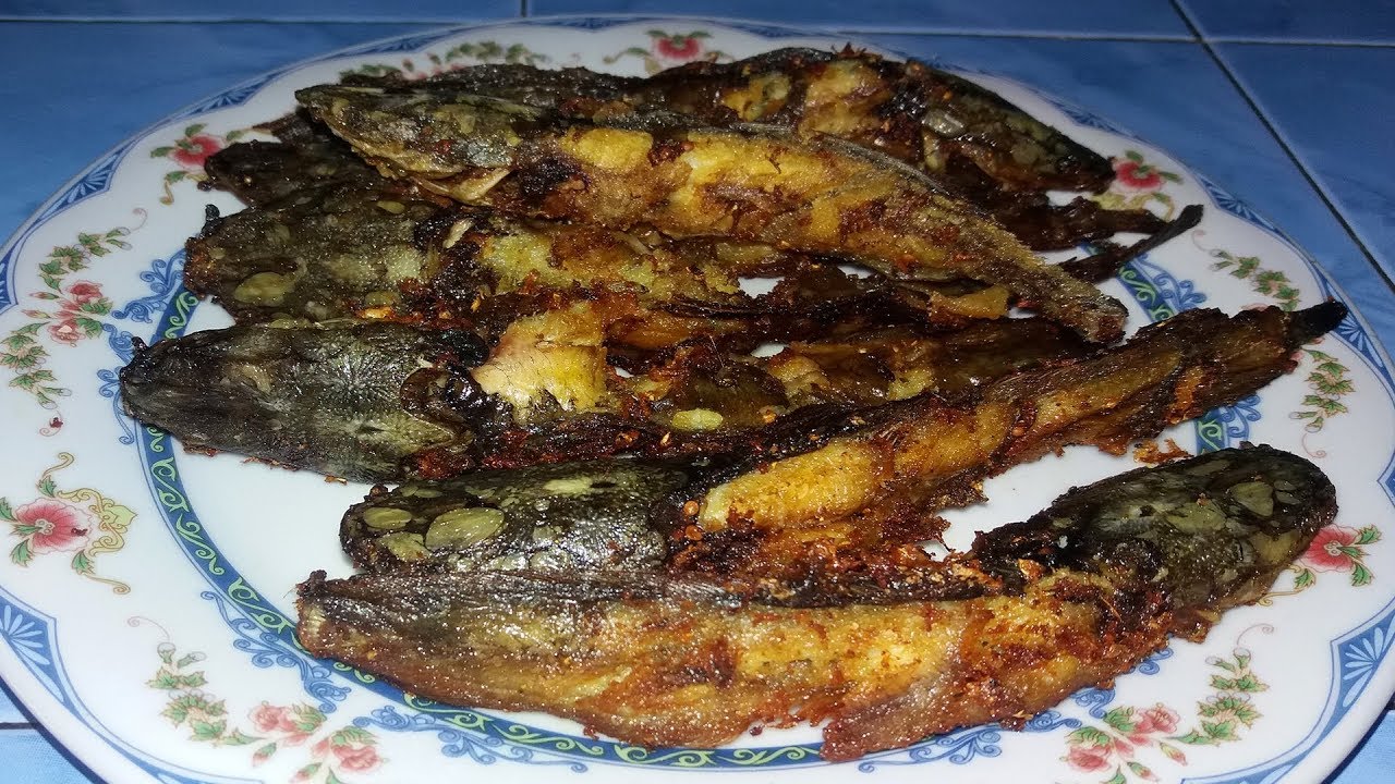 Detail Gambar Ikan Lele Goreng Nomer 54