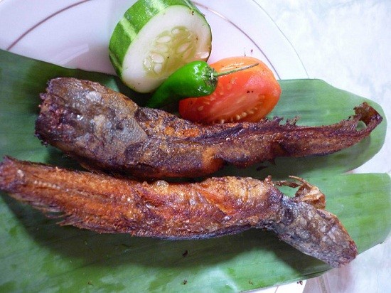 Detail Gambar Ikan Lele Goreng Nomer 10