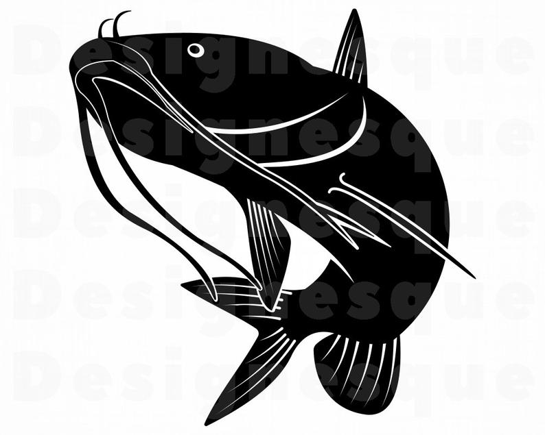 Detail Gambar Ikan Lele Png Nomer 27