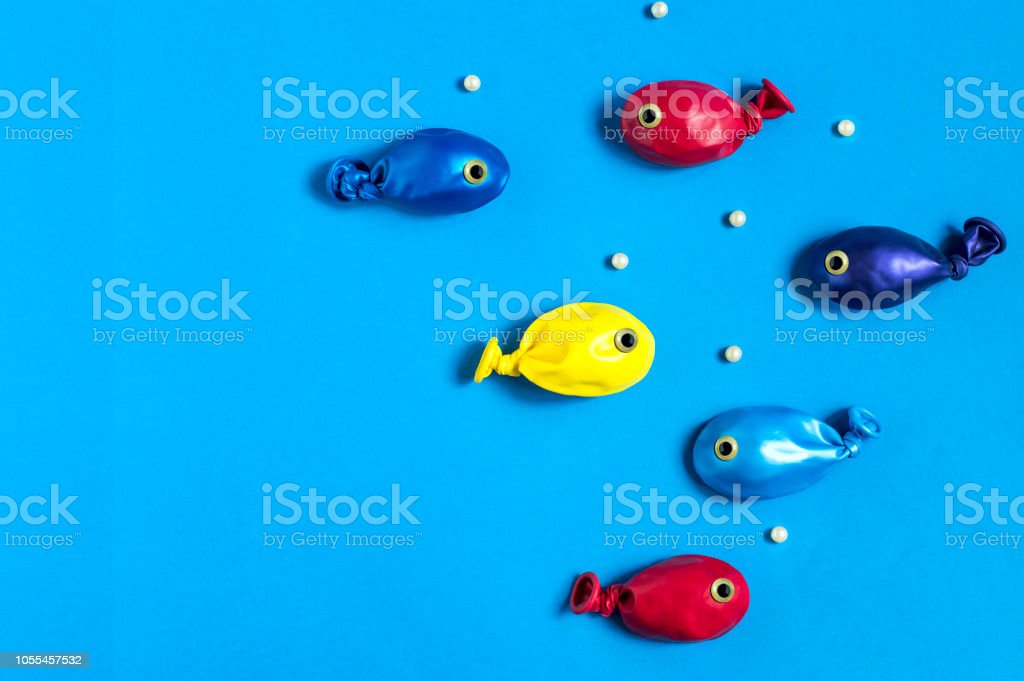 Detail Gambar Ikan Lucu Nomer 53