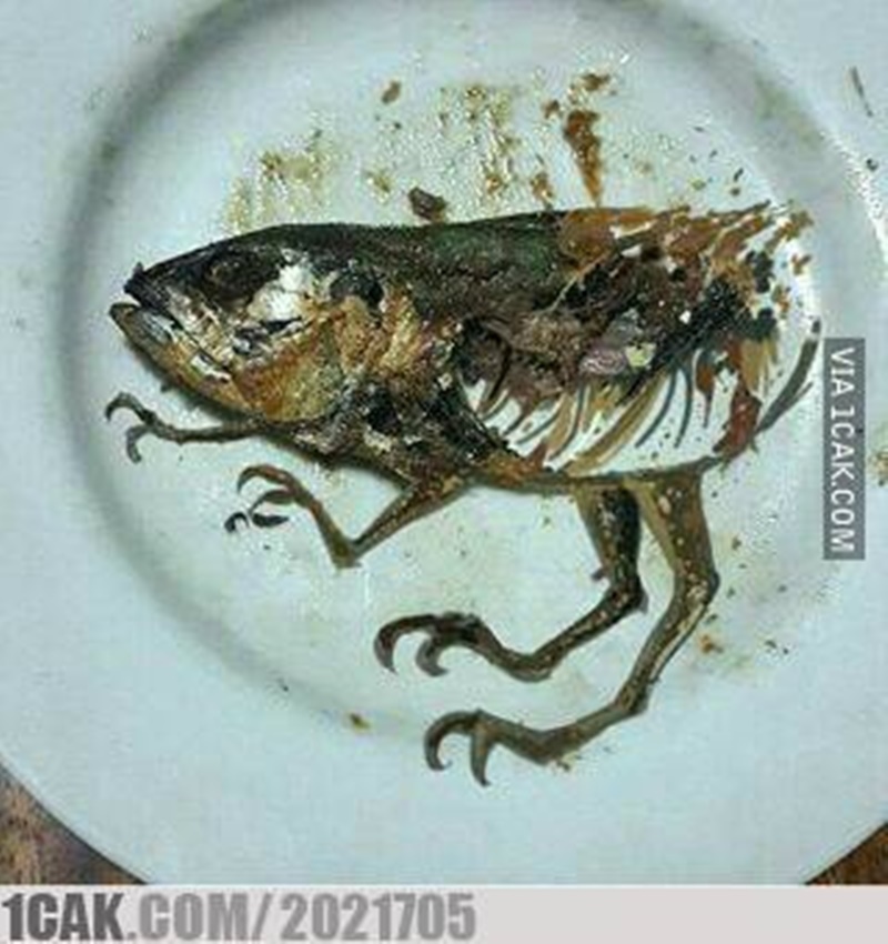 Detail Gambar Ikan Lucu Nomer 9