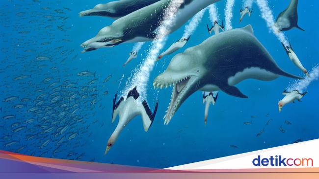 Detail Gambar Ikan Lumba Lumba Nomer 39