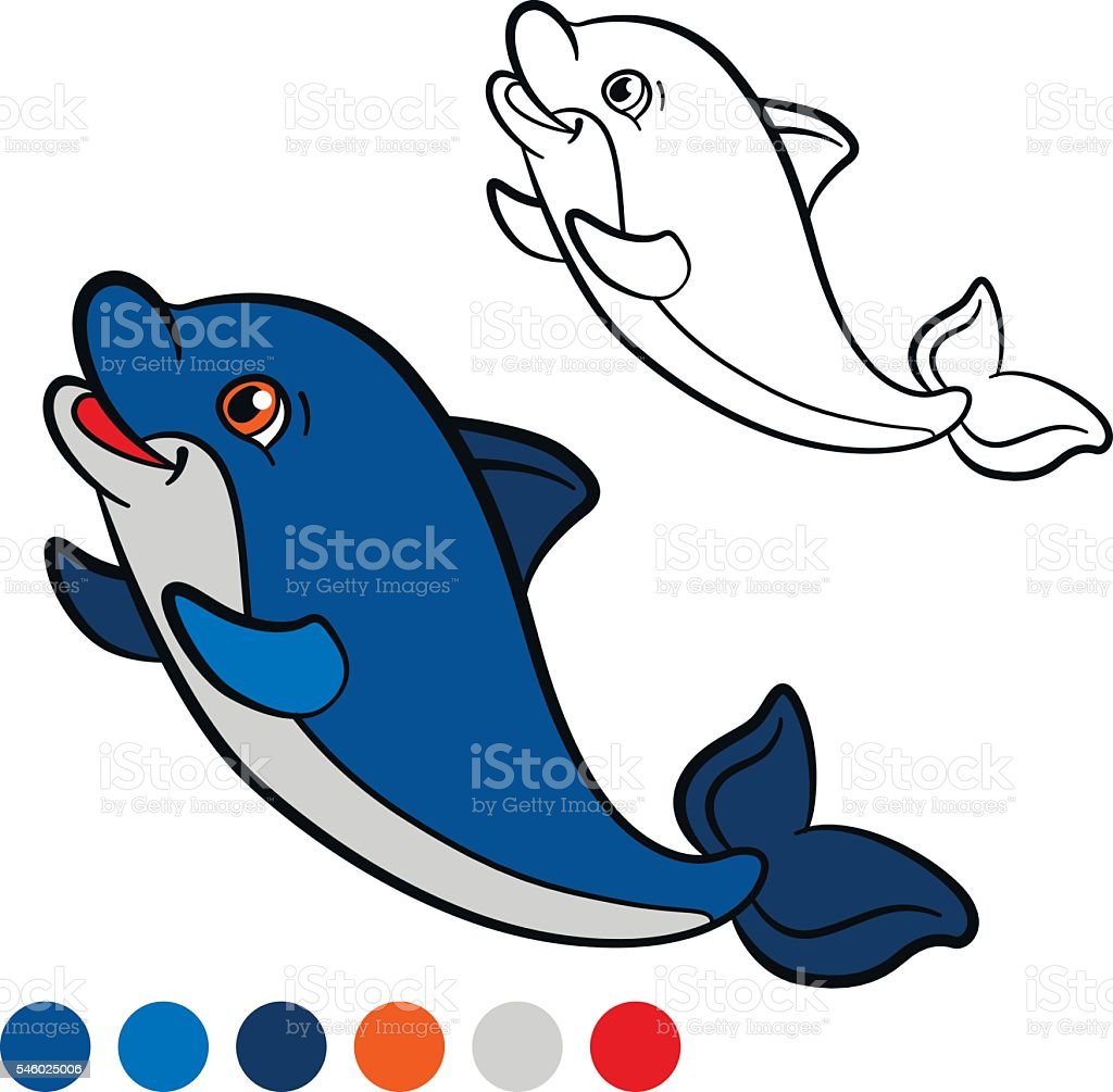 Detail Gambar Ikan Lumba Lumba Lucu Nomer 2