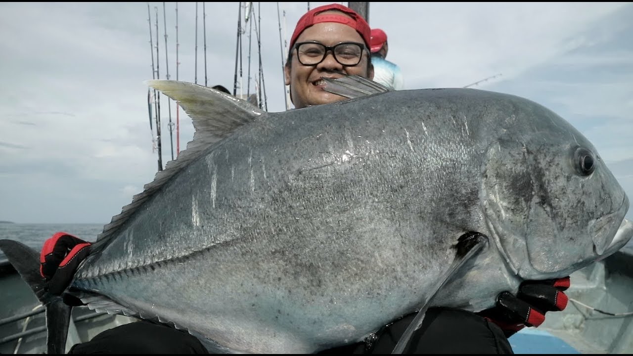 Detail Gambar Ikan Mancing Nomer 36