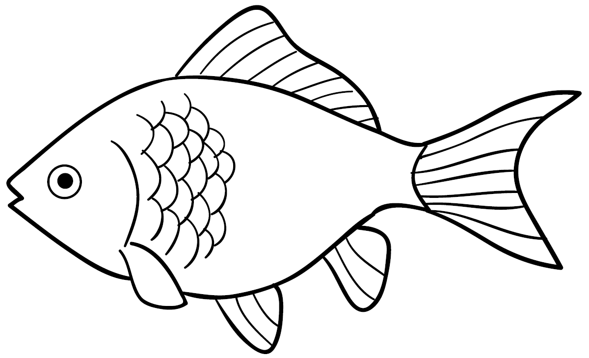 Gambar Ikan Mas - KibrisPDR