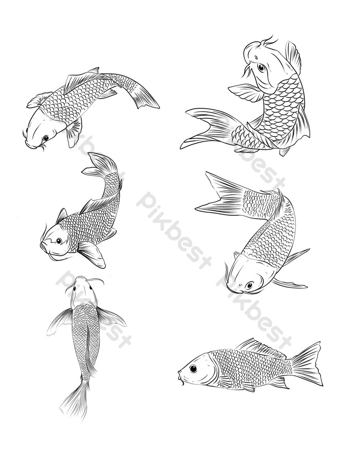Download Gambar Ikan Mas Hitam Putih Nomer 18