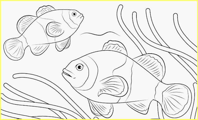 Detail Gambar Ikan Mas Hitam Putih Nomer 32